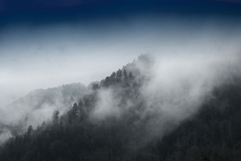 Mountain Clouds at Newfound Gap-Smoky Mountains National Park-Tennessee-USA